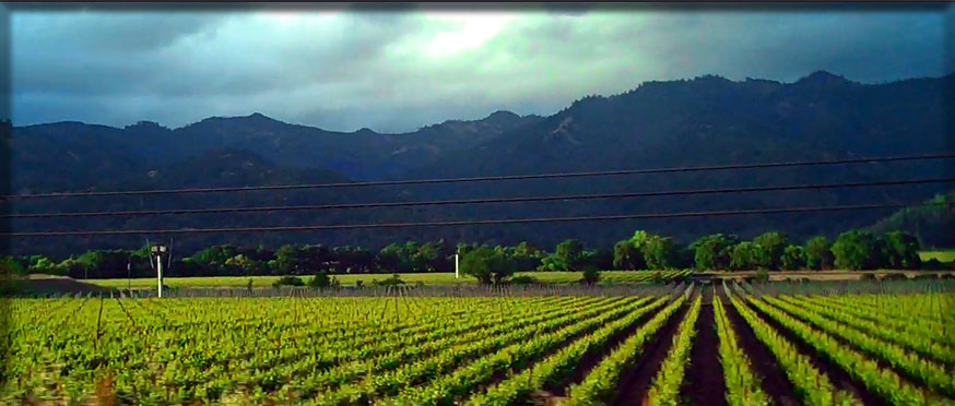 image-napa